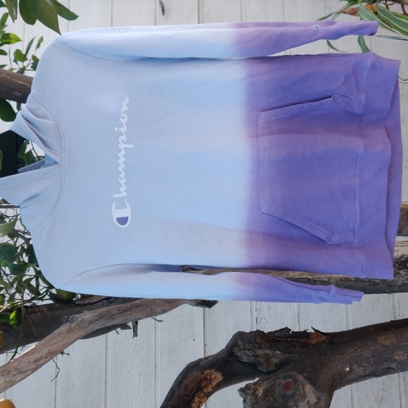 Champion | Collage Blue & Iris Purple Ombré Logo Hoodie - Girls size XL - Picture 2 of 7